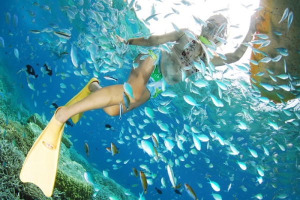 淺談?dòng)瓮С龊Ｓ瓮娴乃螡撍透?></a></div><div   id="xovu1cq"   class=