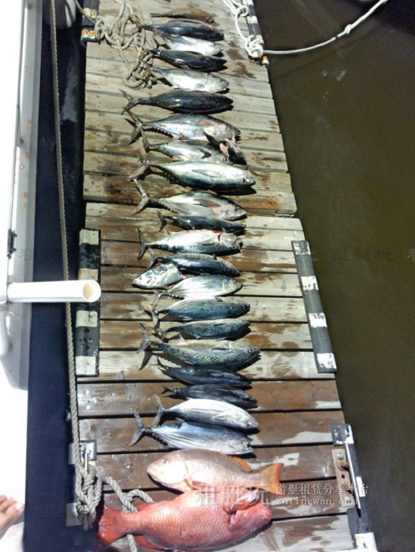 三亞海釣?zāi)康牡赝扑]，租艘釣魚艇去海釣吧！