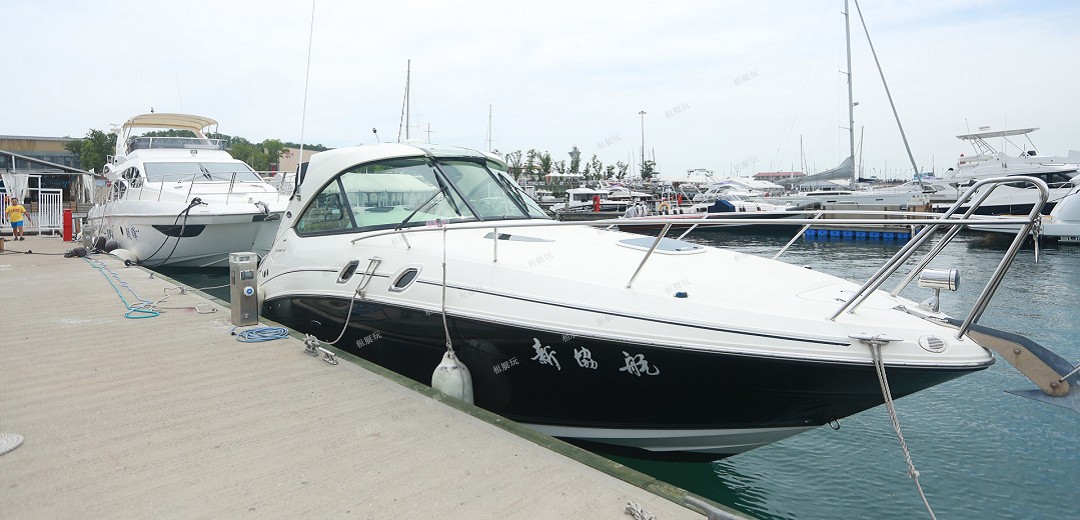 Searay305運(yùn)動艇